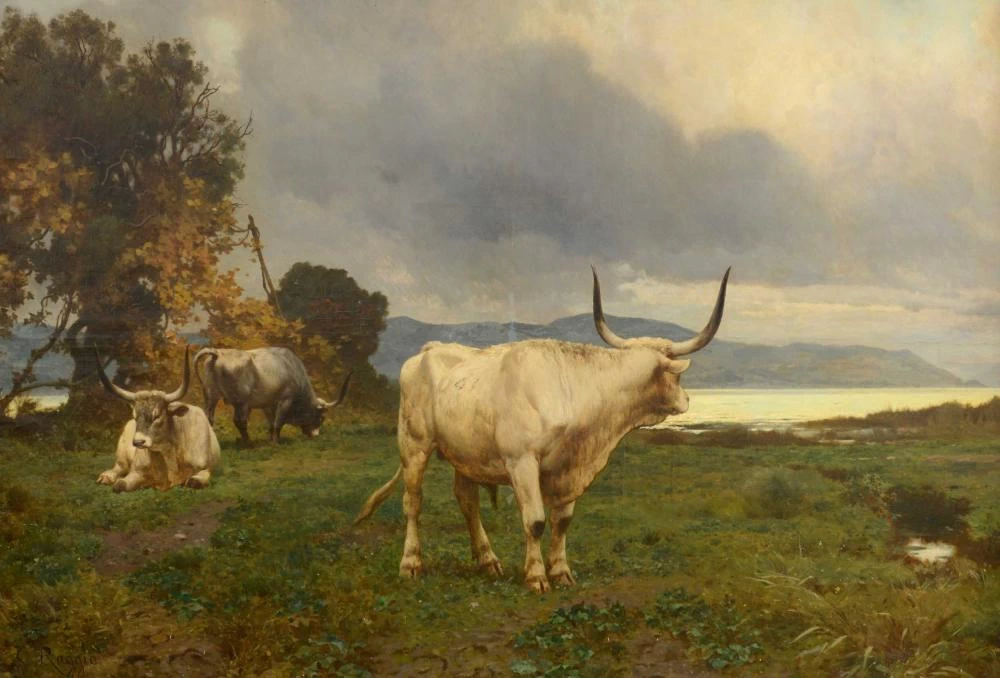 Pascolo